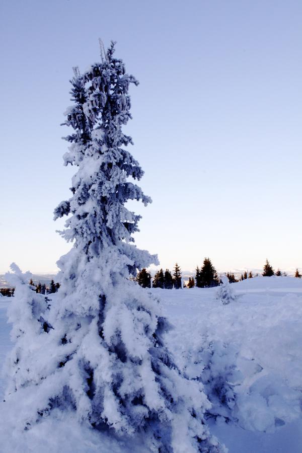 Ilsetra Hotell Hafjell Exteriér fotografie